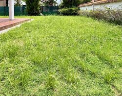 Raffles Park (D11), Detached #610247421